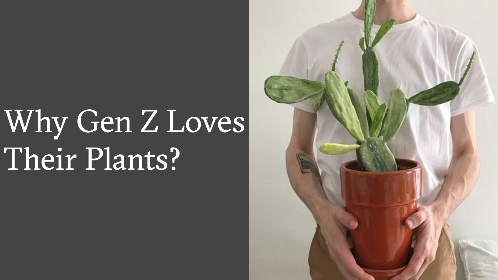 Why Gen Z Is Obsessed With Plants?
