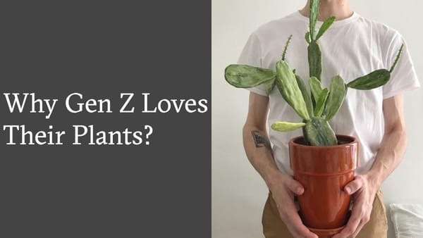 Why Gen Z Is Obsessed With Plants?